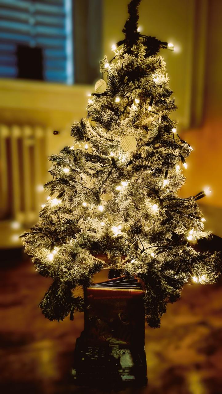 Weihnachten in der Bücherei Zellerndorf