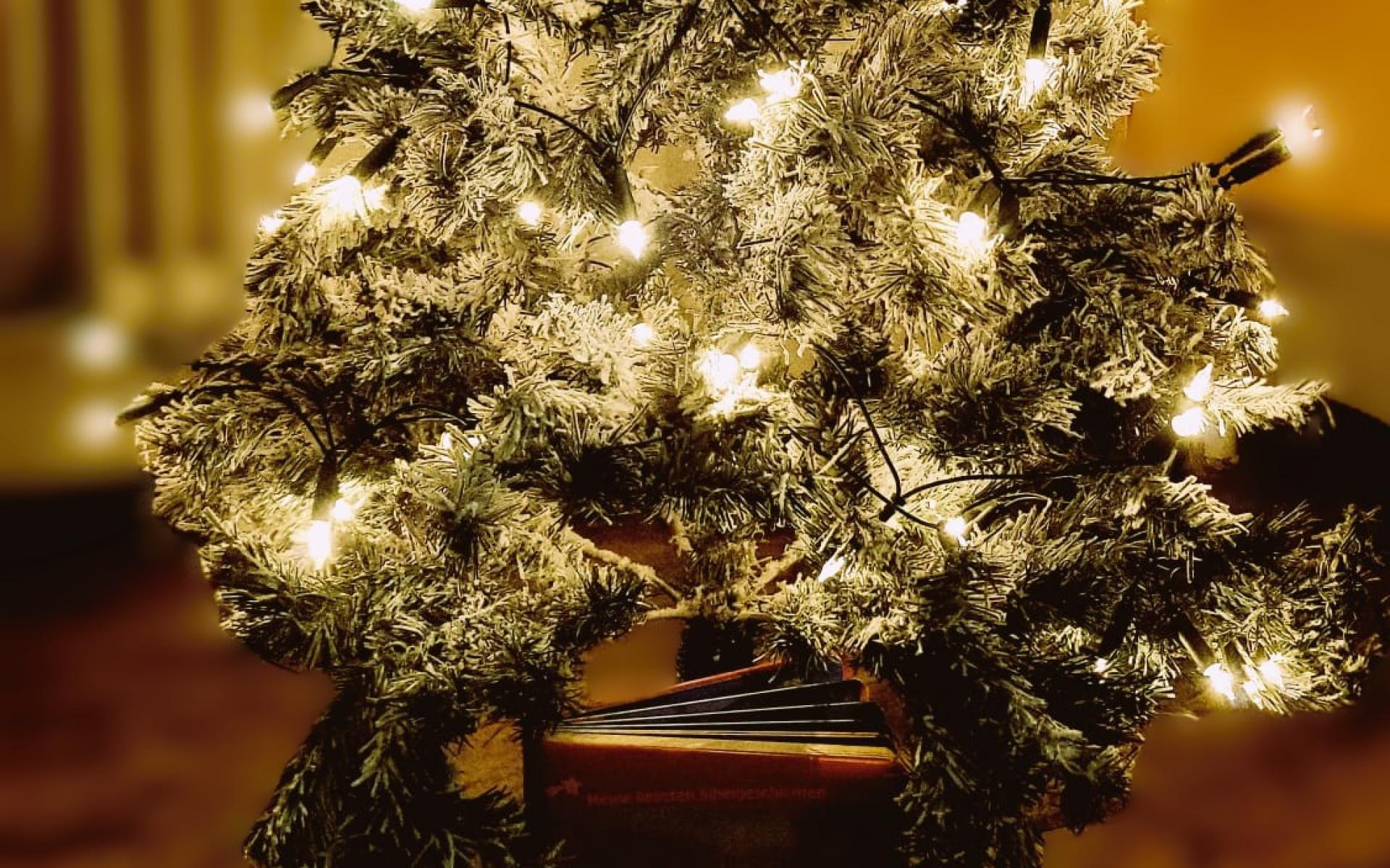 Weihnachten in der Bücherei Zellerndorf